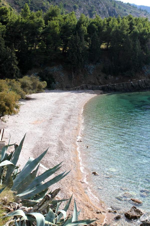 Apartments And Rooms By The Sea Komiza, Vis - 2431 Eksteriør billede